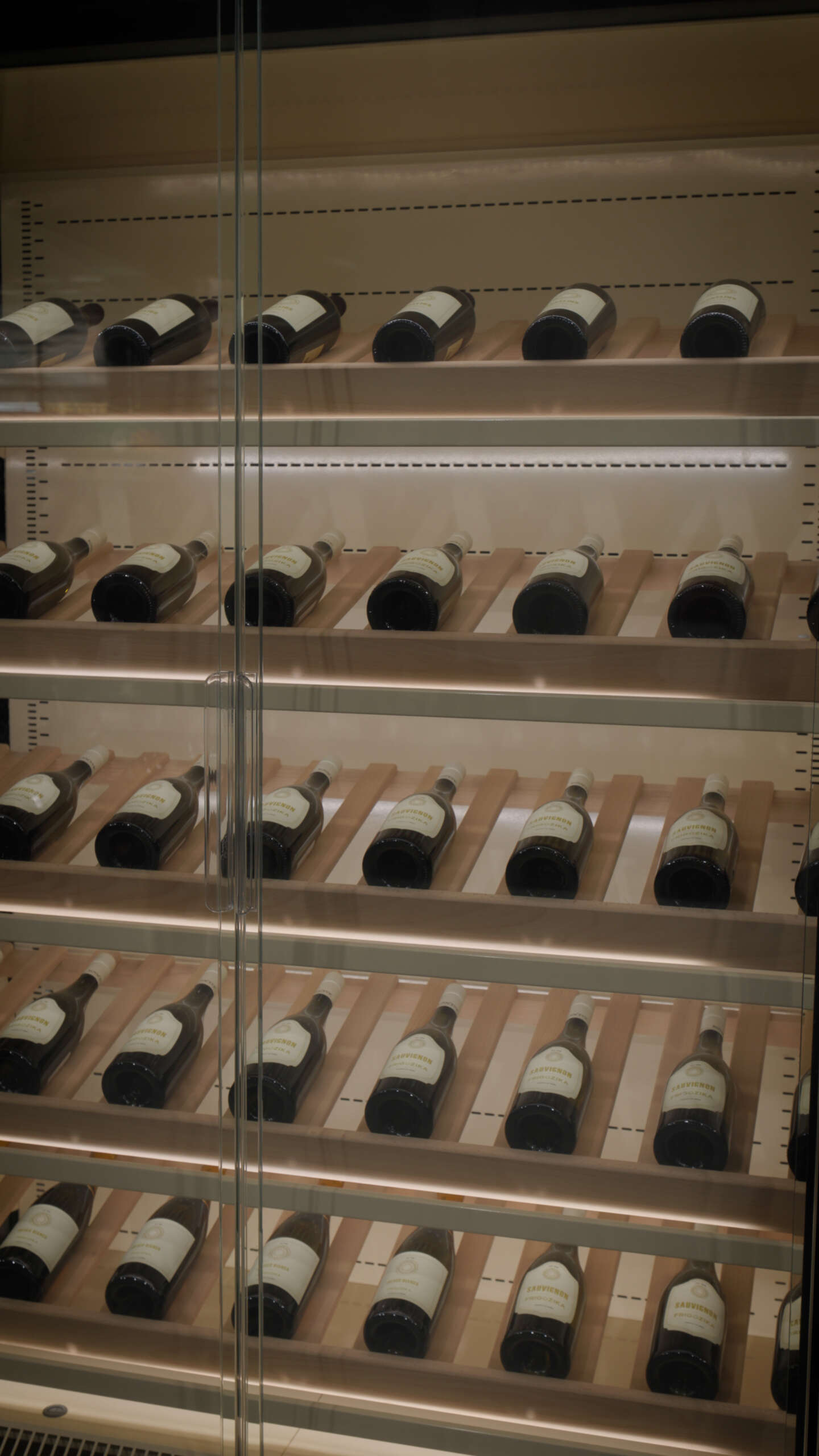Frigo Žika na sajmu Wine Vision 2026 – fotografija 4
